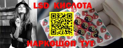 ПСИЛОЦИБИНОВЫЕ ГРИБЫ Гусев