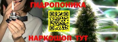 ПСИЛОЦИБИНОВЫЕ ГРИБЫ Гусев