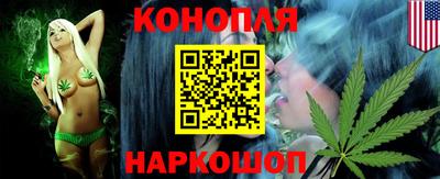 прущие грибы Гусиноозёрск
